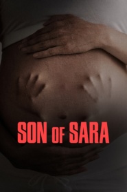 Son of Sara: Volume 1 (2025) Dual Audio [Hindi ORG & ENG] WEB-DL