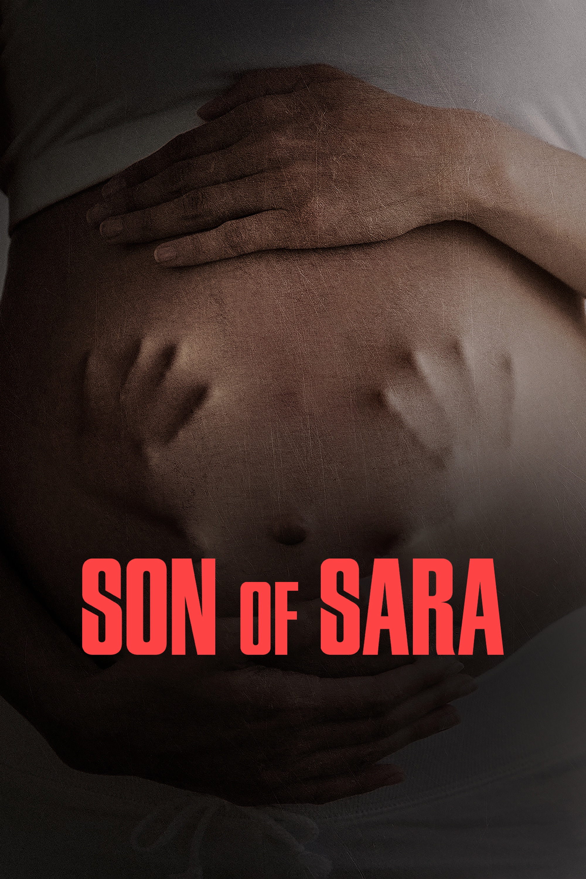 Son of Sara: Volume 1 (2025) Dual Audio [Hindi ORG & ENG] WEB-DL