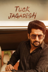 Tuck Jagadish (2021) Dual Audio [Hindi ORG & Telugu] WEB-DL